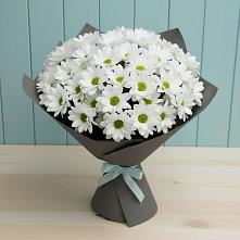 Букет цветов из:  Хризантемы #REPLACE_PRED# Яблоновском
