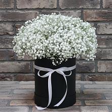 Цветочная композиция из Гипсофила в шляпной коробке #REPLACE_PRED# Яблоновском